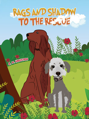 cover image of Rags and Shadow to the Rescue